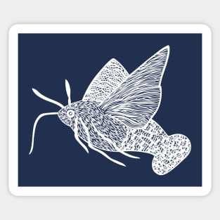 Hummingbird Hawk-Moth - cool and fun moth design - on blue Sticker